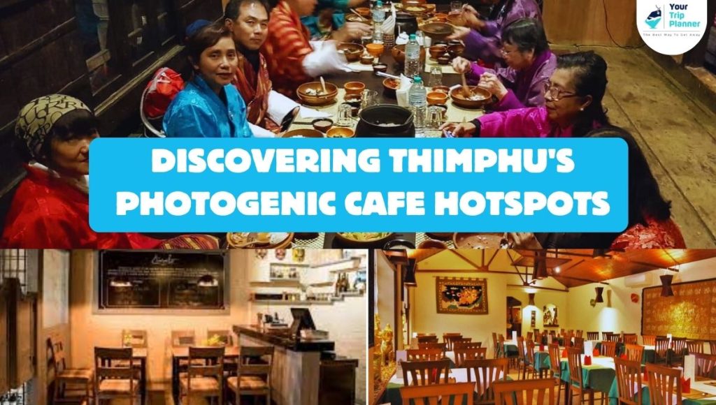 Sip, Snap, Share: Thimphu’s Most Photogenic Cafs Revealed